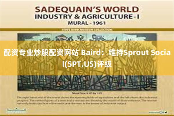 配资专业炒股配资网站 Baird：维持Sprout Social(SPT.US)评级