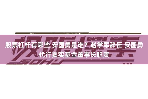 股票杠杆有哪些 安国勇是谁？赵学军辞任 安国勇代行嘉实基金董事长职责