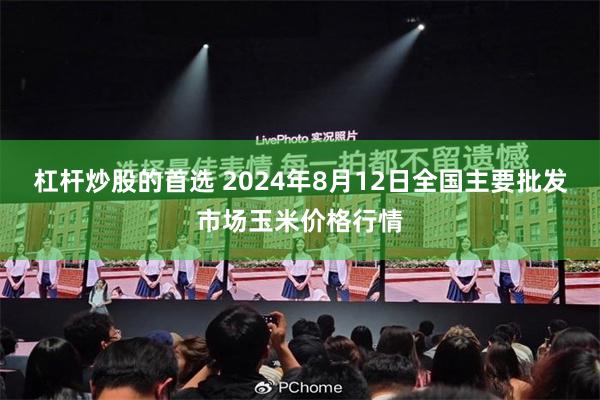 杠杆炒股的首选 2024年8月12日全国主要批发市场玉米价格行情