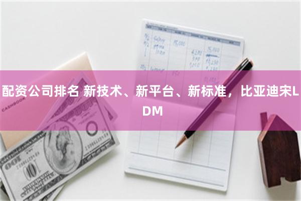 配资公司排名 新技术、新平台、新标准，比亚迪宋L DM