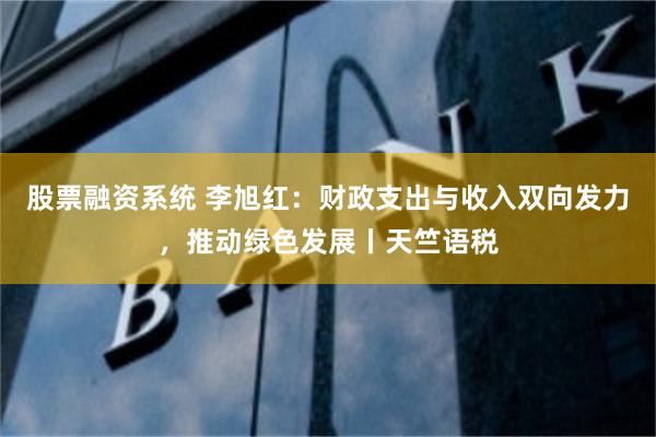 股票融资系统 李旭红：财政支出与收入双向发力，推动绿色发展丨天竺语税