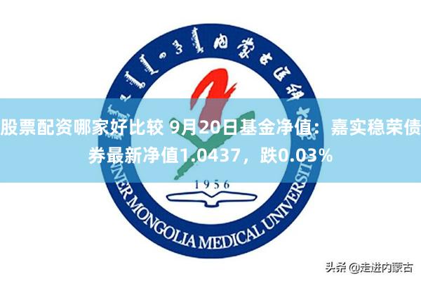 股票配资哪家好比较 9月20日基金净值：嘉实稳荣债券最新净值1.0437，跌0.03%