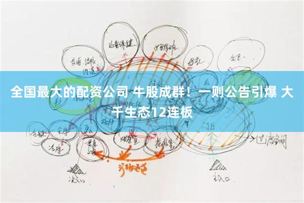 全国最大的配资公司 牛股成群！一则公告引爆 大千生态12连板