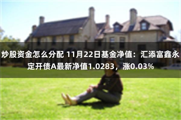 炒股资金怎么分配 11月22日基金净值：汇添富鑫永定开债A最新净值1.0283，涨0.03%