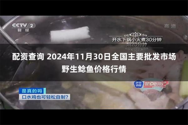 配资查询 2024年11月30日全国主要批发市场野生鲶鱼价格行情