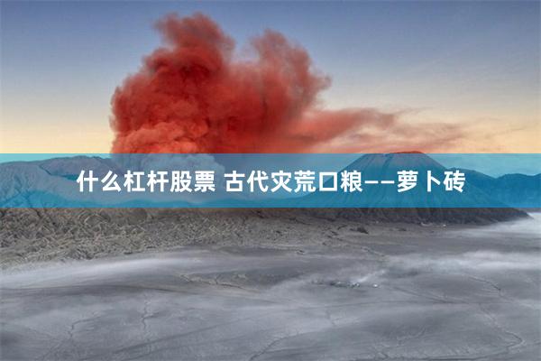 什么杠杆股票 古代灾荒口粮——萝卜砖