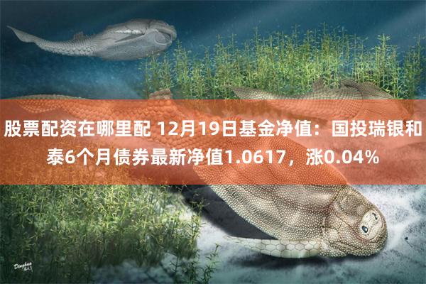 股票配资在哪里配 12月19日基金净值：国投瑞银和泰6个月债券最新净值1.0617，涨0.04%