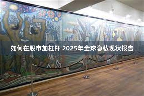 如何在股市加杠杆 2025年全球隐私现状报告