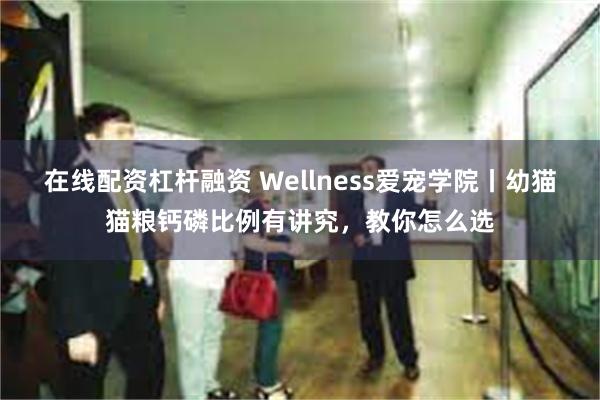 在线配资杠杆融资 Wellness爱宠学院丨幼猫猫粮钙磷比例有讲究，教你怎么选