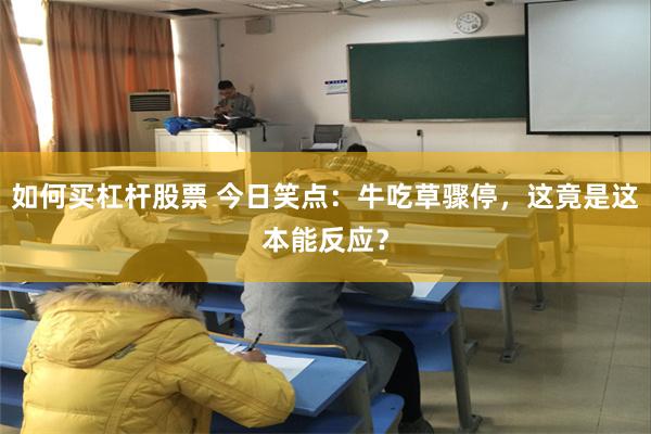 如何买杠杆股票 今日笑点：牛吃草骤停，这竟是这本能反应？